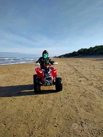 Quad Peg Perego