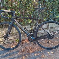 Orbea orca