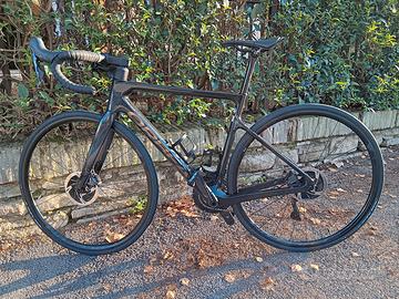 Orbea orca