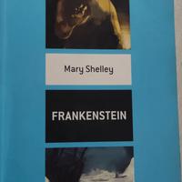 Frankenstein di Mary Shelley 