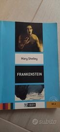 Frankenstein di Mary Shelley 