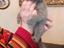 Immagine 2