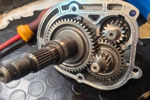 ingranaggi piaggio zip sp 