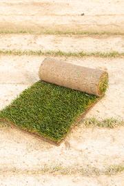 Erba Naturale | Puglia | Basilicata