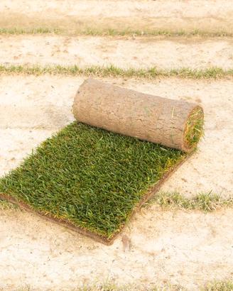 Erba Naturale | Puglia | Basilicata