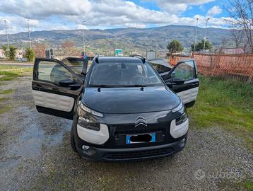 C4 Cactus Shine Edition 2015 nera
