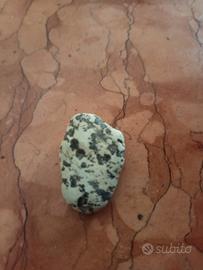 Pietra dalmata bianca nera naturale palm stone