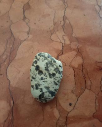 Pietra dalmata bianca nera naturale palm stone