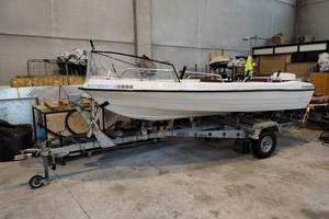 Barca e rimorchio e motore 20/30cv