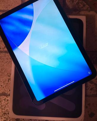 iPad mini 6 4g LTE
