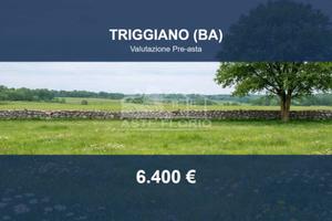 Immobile in asta di 626 m² a Triggiano