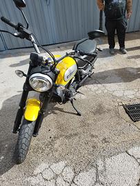  ducati scrambler 800 top 😍