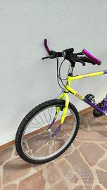 Mountain-bike Le Run
