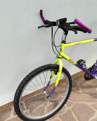 Mountain-bike Le Run

