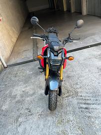 Honda MSX125 -2020- Solo per esportazione