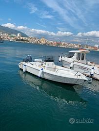 Barca a motore pesca