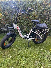 BICICLETTA ELETTRICA FAFRESS F20 max