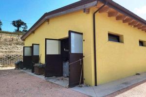 RGE 2/2023 - Tribunale di Urbino - Lotto 1