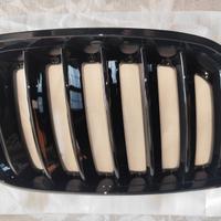 Griglie anteriori BMW