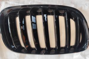 Griglie anteriori BMW