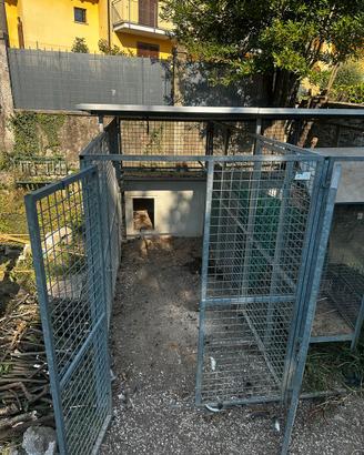 Recinzione cani zincata