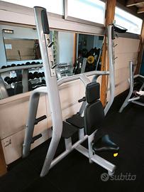 Panca verticale spalle technogym
