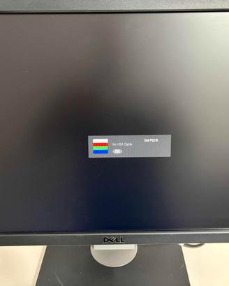Monitor Dell P22