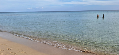 Villa Sarah San pietro in Bevagna