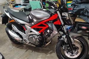 Suzuki Gladius 650