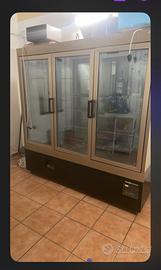 Vetrina frigo