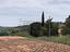 Immagine 7