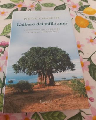 Libro:l'albero dei mille anni