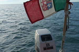 Barca a vela stag24 +++