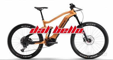 E-Bike Haibike Allmnt CF6