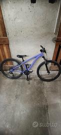 bicicletta MTB 