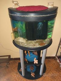 acquario con mobiletto