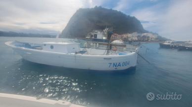 Barca con licenza da pesca
