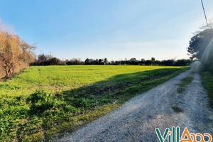 Terreno Agricolo - Fondi