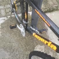bici mtb