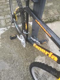 bici mtb
