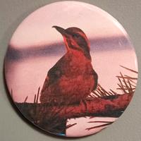 SPILLA SIGLA TWIN PEAKS 