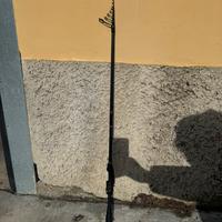 Canna trabucco rapture big trout