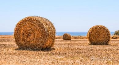 Balloni Paglia di grano