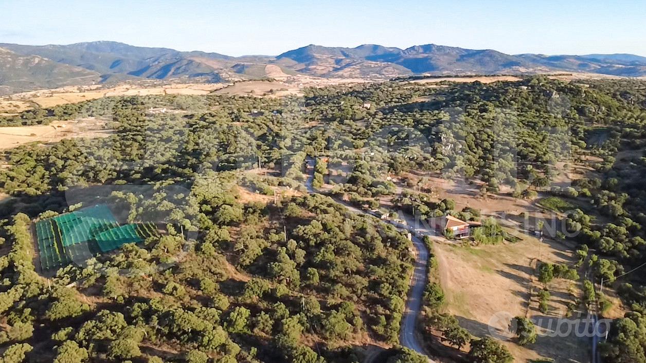 Terreno Agricolo Oschiri [Cod. rif 3328729VRG] - Vista 3