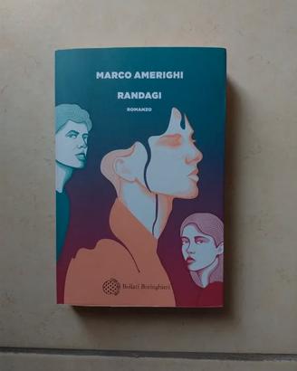 Marco Amerighi - Randagi