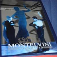 Insegna Pubblicitaria a specchio Montelvini