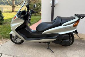 Yamaha Majesty 250cc