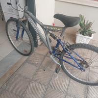 bici shiano
