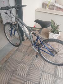bici shiano