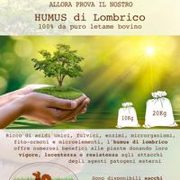 Humus di Lombrico o Vermicompost e lombricoltura